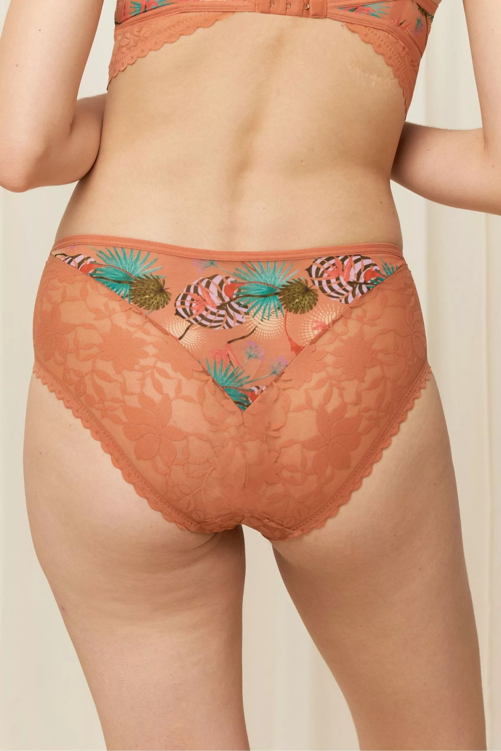 Triumph Orange Shadow Spotlight Hipster Briefs 2 Triumph Orange Shadow Spotlight Hipster Briefs - Image 2