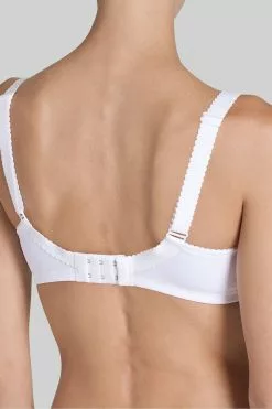 Triumph Shop -Triumph Shop M22621s2