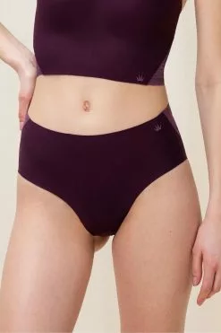 Triumph Purple Flex Smart Maxi Briefs